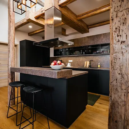Apartment Turistka Loft